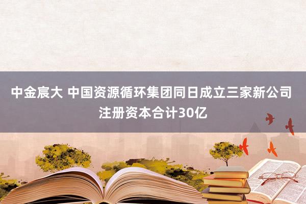 中金宸大 中国资源循环集团同日成立三家新公司 注册资本合计30亿