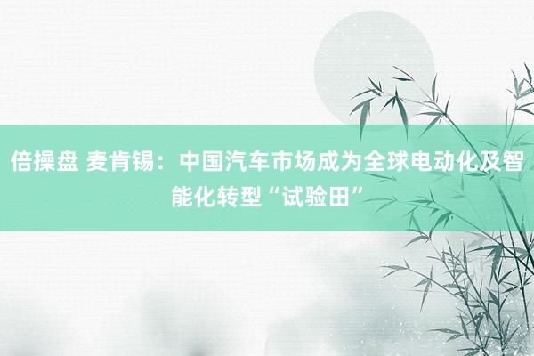 倍操盘 麦肯锡：中国汽车市场成为全球电动化及智能化转型“试验田”