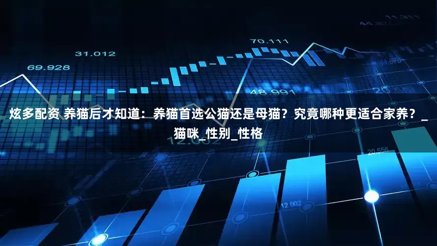 炫多配资 养猫后才知道：养猫首选公猫还是母猫？究竟哪种更适合家养？_猫咪_性别_性格