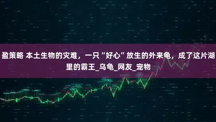 盈策略 本土生物的灾难，一只“好心”放生的外来龟，成了这片湖里的霸王_乌龟_网友_宠物