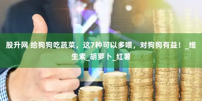 股升网 给狗狗吃蔬菜，这7种可以多喂，对狗狗有益！_维生素_胡萝卜_红薯